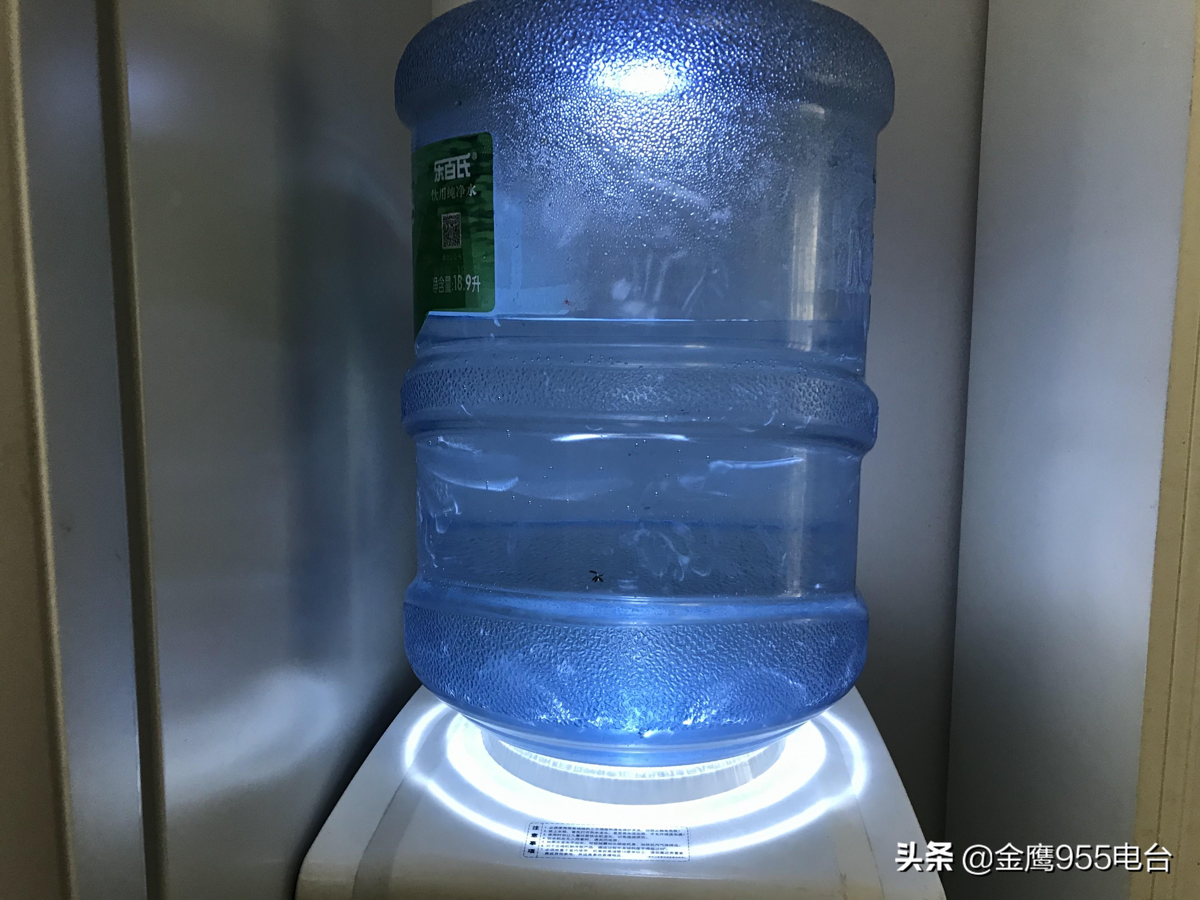 桶装纯净水全套设备_桶装纯净水设备大概多少钱_桶装纯净水设备
