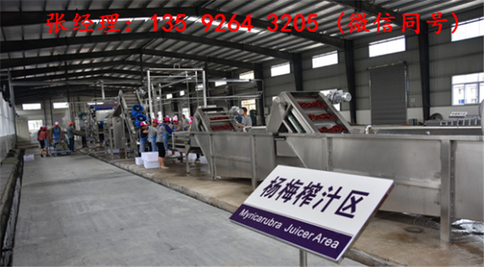 年产500吨杨梅深加工杨梅果汁饮料杨梅果酒生产线工厂设备找温州科信